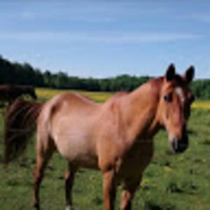 Meet your Posher, Laura  ann